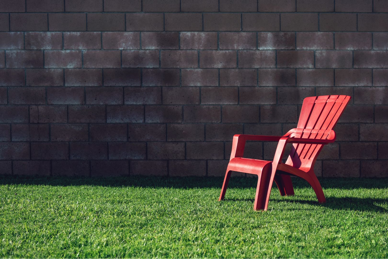 Como Evitar Danos ao Quintal Durante a Limpeza