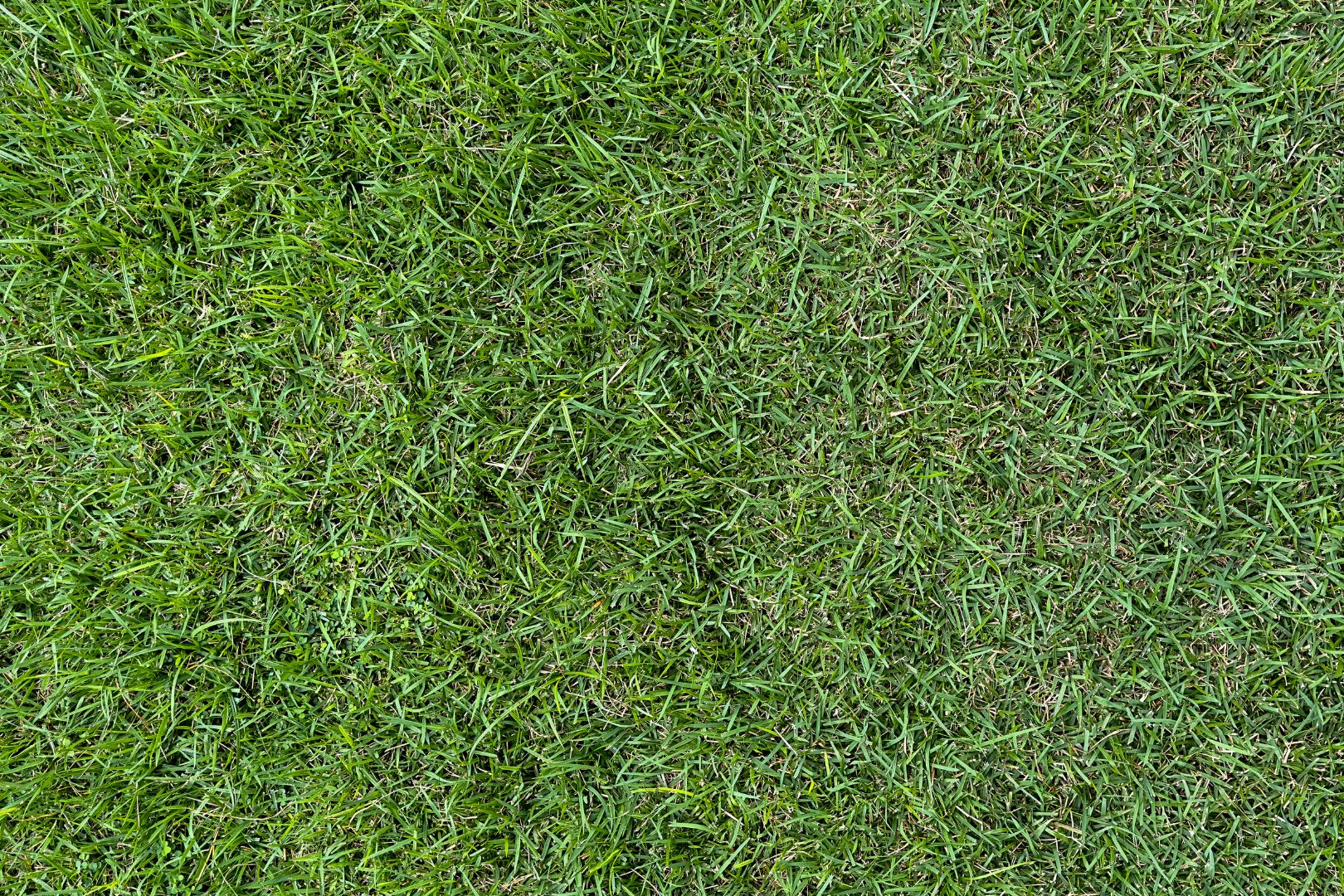 Como Fazer Drenagem para Grama Sintetica